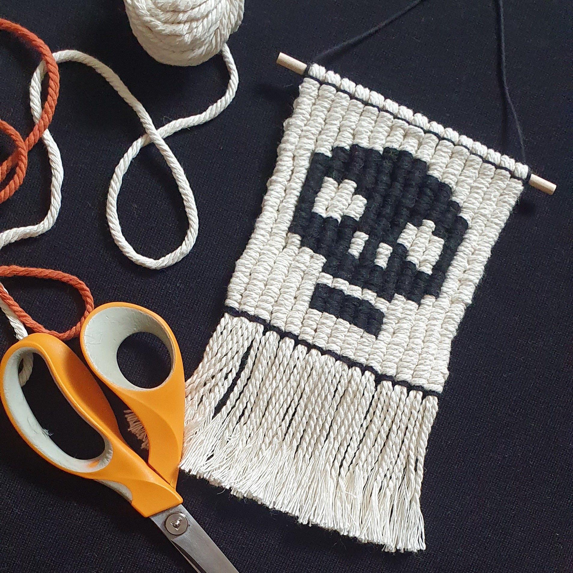 Small Skull Wall Hanging