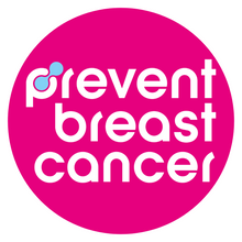 Load image into Gallery viewer, Special Edition Fairy - Dark Blond Hair - Prevent Breast Cancer
