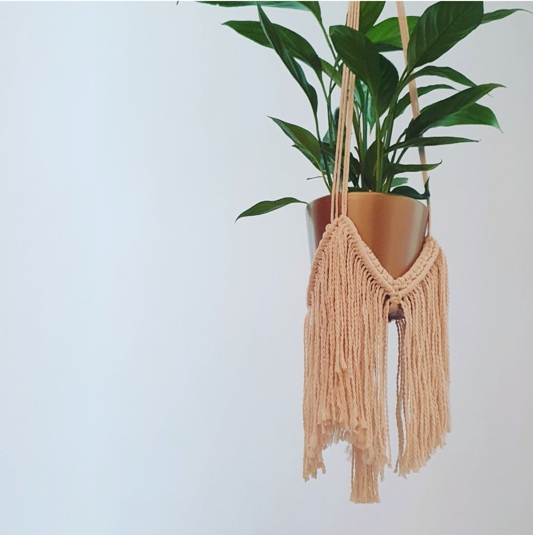Fringed Plant Hanger in natural string cord