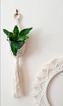 Load image into Gallery viewer, Pod plant hanger
